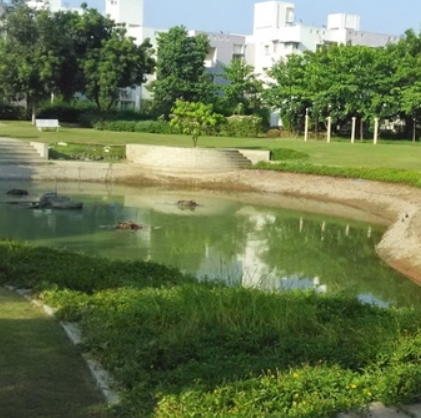 Adalaj Lake